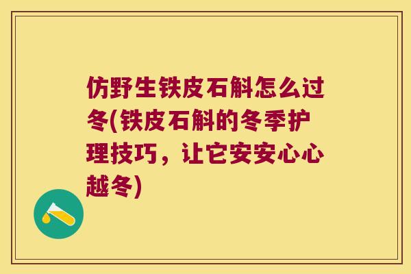 仿野生铁皮石斛怎么过冬(铁皮石斛的冬季护理技巧，让它安安心心越冬)