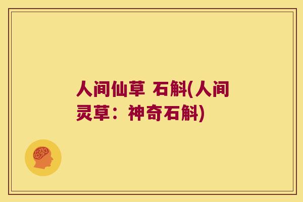 人间仙草 石斛(人间灵草：神奇石斛)
