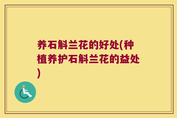 养石斛兰花的好处(种植养护石斛兰花的益处)