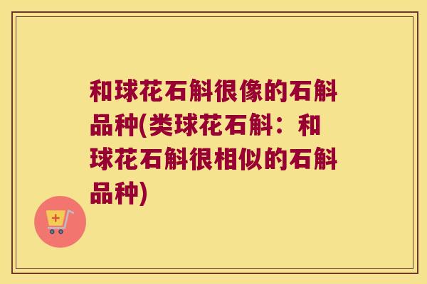 和球花石斛很像的石斛品种(类球花石斛：和球花石斛很相似的石斛品种)