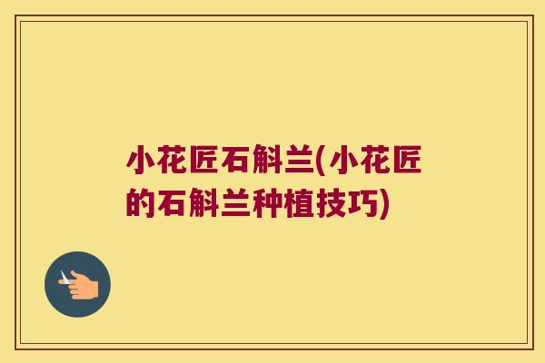 小花匠石斛兰(小花匠的石斛兰种植技巧)