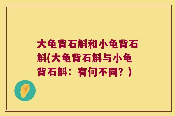 大龟背石斛和小龟背石斛(大龟背石斛与小龟背石斛：有何不同？)