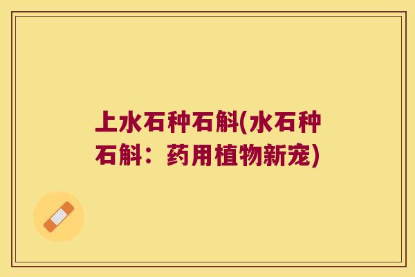 上水石种石斛(水石种石斛：药用植物新宠)