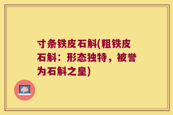 寸条铁皮石斛(粗铁皮石斛：形态独特，被誉为石斛之皇)
