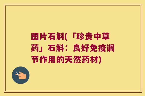 图片石斛(「珍贵中草药」石斛：良好调节作用的天然药材)