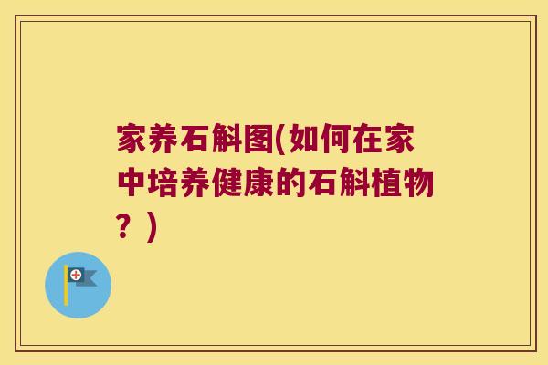 家养石斛图(如何在家中培养健康的石斛植物?) 家养石斛图(如何在家中培养健康的石斛植物?)