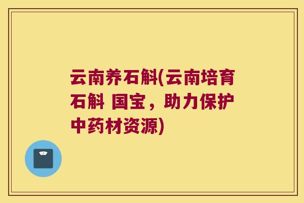 云南养石斛(云南培育石斛 国宝，助力保护材资源)