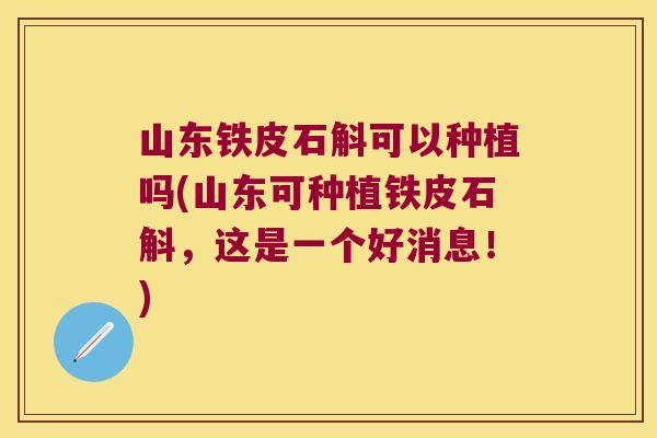 山东铁皮石斛可以种植吗(山东可种植铁皮石斛，这是一个好消息！)