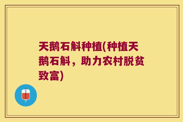 天鹅石斛种植(种植天鹅石斛，助力农村脱贫致富)