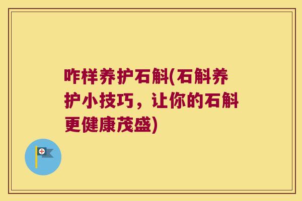 咋样养护石斛(石斛养护小技巧，让你的石斛更健康茂盛)