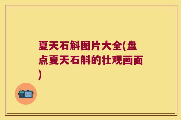 夏天石斛图片大全(盘点夏天石斛的壮观画面)