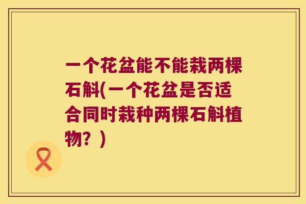 一个花盆能不能栽两棵石斛(一个花盆是否适合同时栽种两棵石斛植物？)