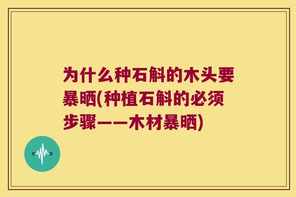 为什么种石斛的木头要暴晒(种植石斛的必须步骤——木材暴晒)