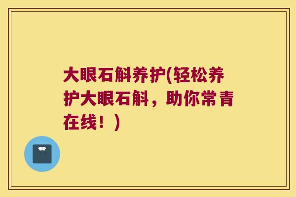 大眼石斛养护(轻松养护大眼石斛，助你常青在线！)