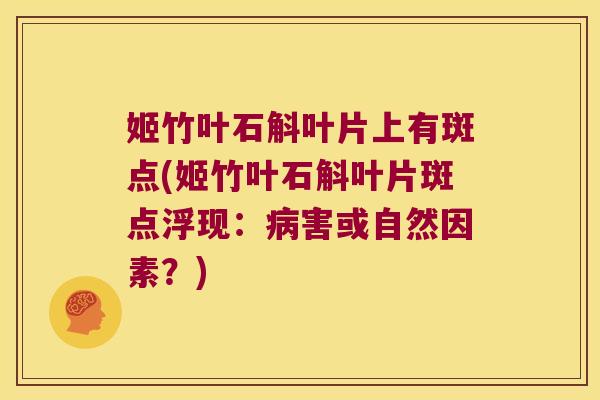 姬竹叶石斛叶片上有斑点(姬竹叶石斛叶片斑点浮现：害或自然因素？)
