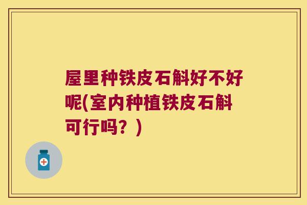 屋里种铁皮石斛好不好呢(室内种植铁皮石斛可行吗？)