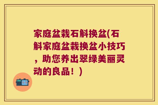 家庭盆栽石斛换盆(石斛家庭盆栽换盆小技巧，助您养出翠绿美丽灵动的良品！)