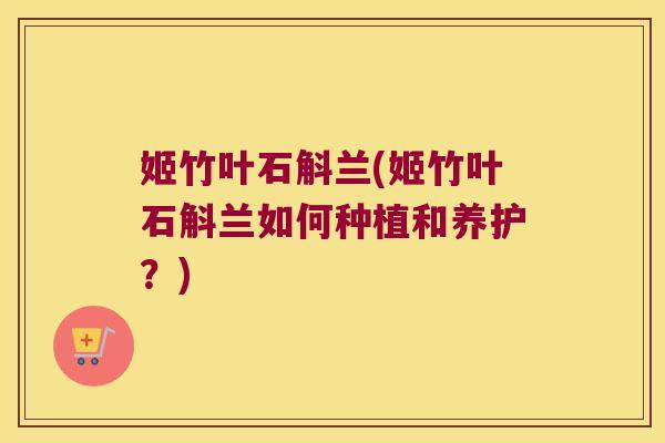 姬竹叶石斛兰(姬竹叶石斛兰如何种植和养护？)
