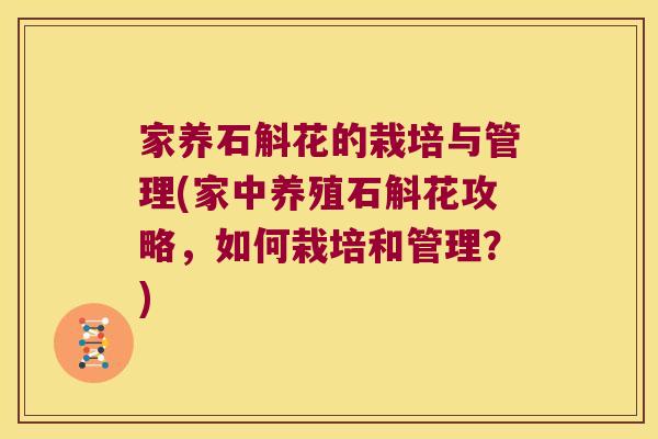 家养石斛花的栽培与管理(家中养殖石斛花攻略,如何栽培和管理?) 家养石斛花的栽培与管理(家中养殖石斛花攻略,如何栽培和管理?)