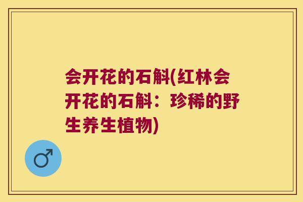 会开花的石斛(红林会开花的石斛:珍稀的野生养生植物) 会开花的石斛(红林会开花的石斛:珍稀的野生养生植物)