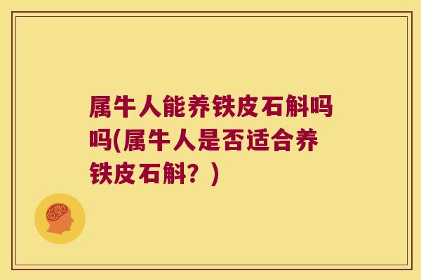 属牛人能养铁皮石斛吗吗(属牛人是否适合养铁皮石斛？)