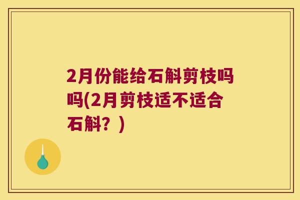 2月份能给石斛剪枝吗吗(2月剪枝适不适合石斛？)