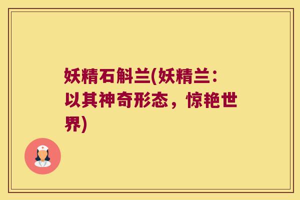 妖精石斛兰(妖精兰：以其神奇形态，惊艳世界)