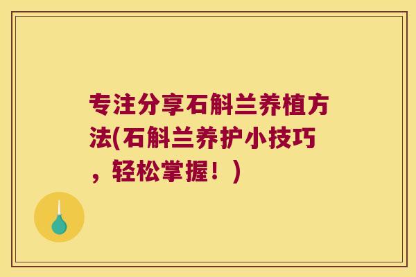 专注分享石斛兰养植方法(石斛兰养护小技巧，轻松掌握！)