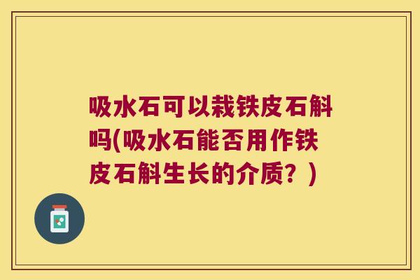 吸水石可以栽铁皮石斛吗(吸水石能否用作铁皮石斛生长的介质？)