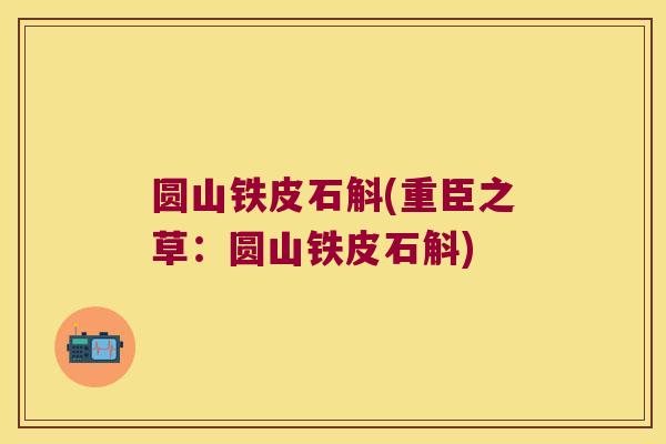 圆山铁皮石斛(重臣之草：圆山铁皮石斛)