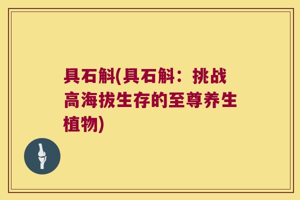 具石斛(具石斛：挑战高海拔生存的至尊养生植物)
