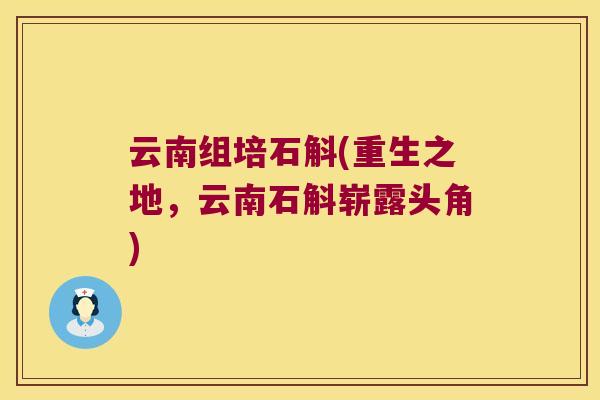 云南组培石斛(重生之地，云南石斛崭露头角)