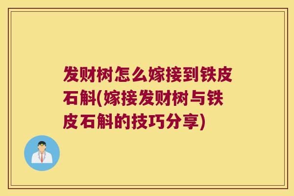 发财树怎么嫁接到铁皮石斛(嫁接发财树与铁皮石斛的技巧分享)