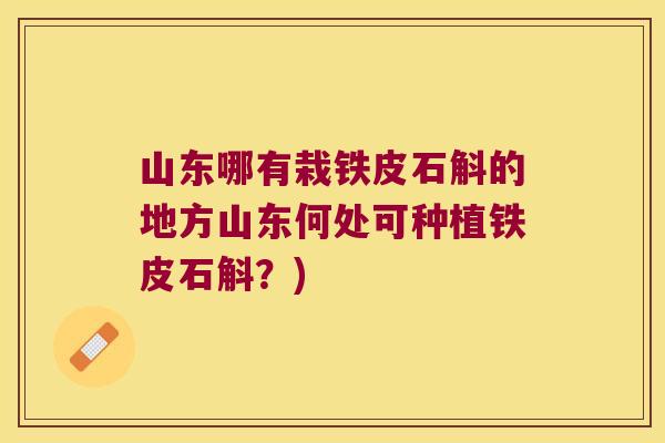 山东哪有栽铁皮石斛的地方山东何处可种植铁皮石斛？)