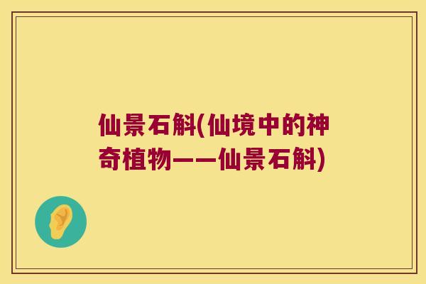 仙景石斛(仙境中的神奇植物——仙景石斛)