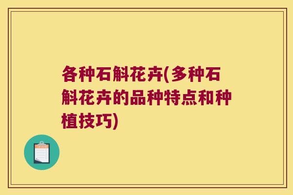 各种石斛花卉(多种石斛花卉的品种特点和种植技巧)