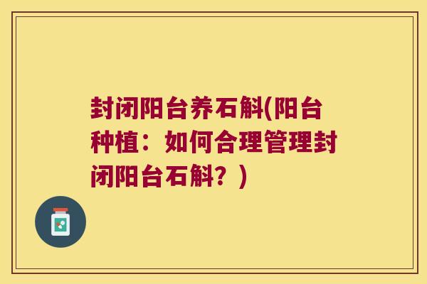 封闭阳台养石斛(阳台种植：如何合理管理封闭阳台石斛？)