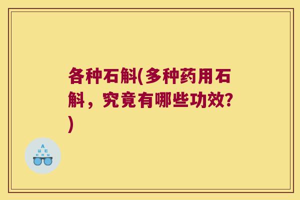 各种石斛(多种药用石斛，究竟有哪些功效？)