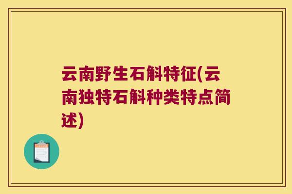 云南野生石斛特征(云南独特石斛种类特点简述)