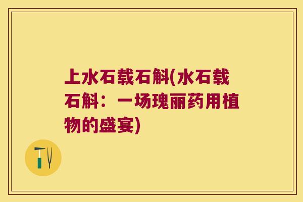 上水石载石斛(水石载石斛：一场瑰丽药用植物的盛宴)