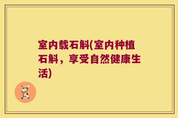 室内载石斛(室内种植石斛，享受自然健康生活)