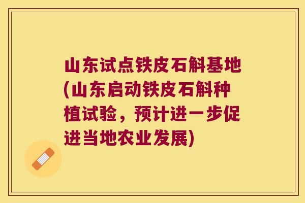 山东试点铁皮石斛基地(山东启动铁皮石斛种植试验，预计进一步促进当地农业发展)