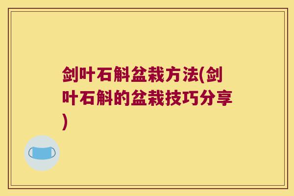 剑叶石斛盆栽方法(剑叶石斛的盆栽技巧分享)