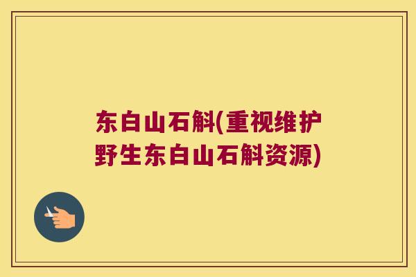 东白山石斛(重视维护野生东白山石斛资源)