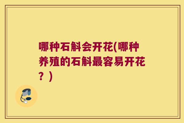 哪种石斛会开花(哪种养殖的石斛最容易开花？)