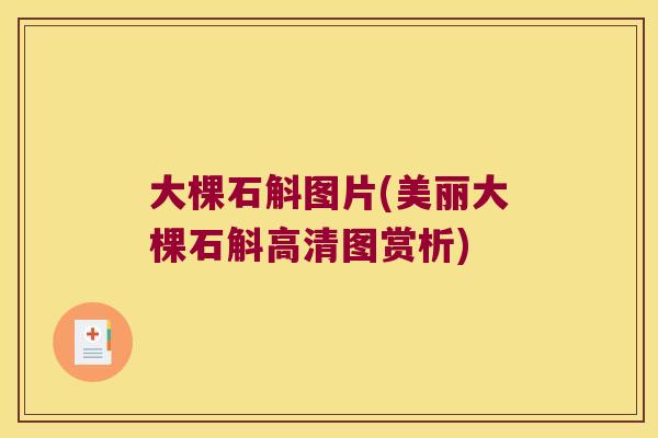 大棵石斛图片(美丽大棵石斛高清图赏析)