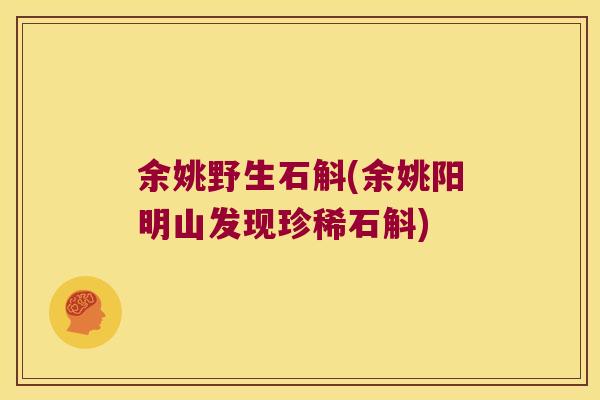 余姚野生石斛(余姚阳明山发现珍稀石斛)