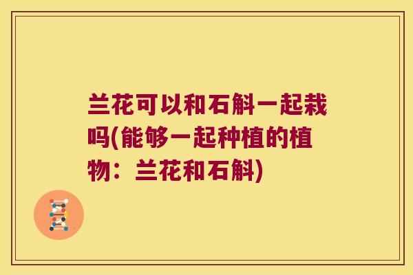 兰花可以和石斛一起栽吗(能够一起种植的植物：兰花和石斛)