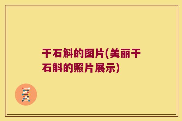 干石斛的图片(美丽干石斛的照片展示)
