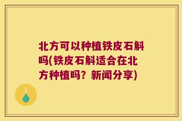 北方可以种植铁皮石斛吗(铁皮石斛适合在北方种植吗？新闻分享)